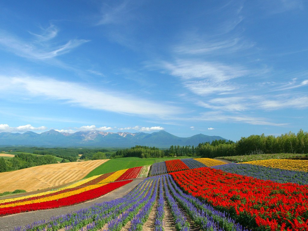 Japan Hokkaido Landscape WUXGA country field 0166 Excelentes wallpapers de paisajes