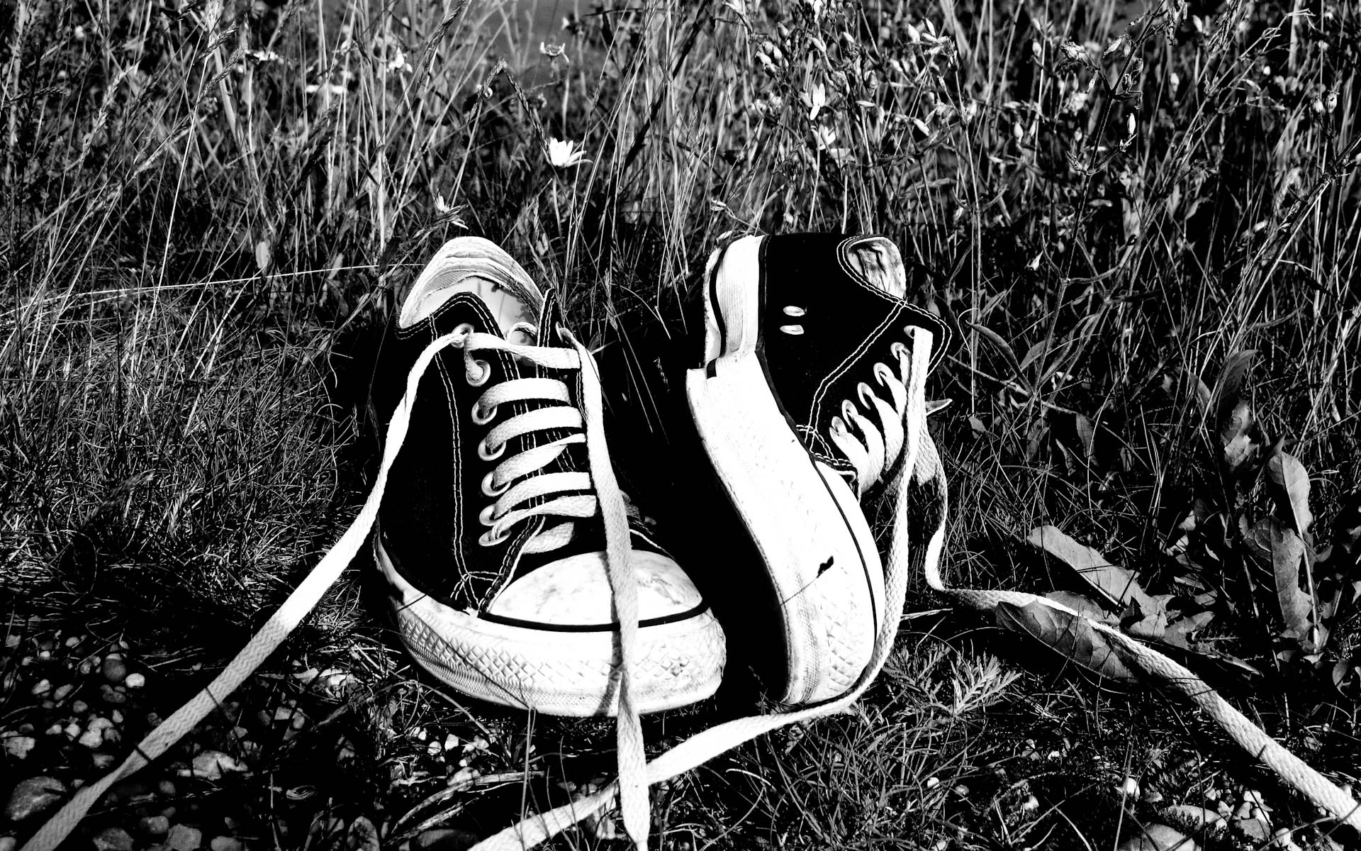 wallpapers converse (6)