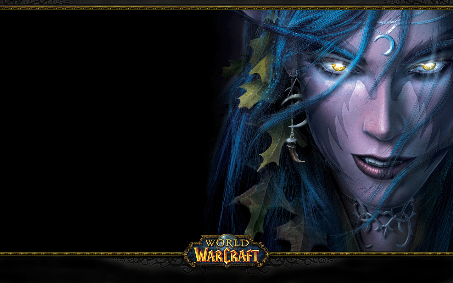 Word of Warcraft (11)